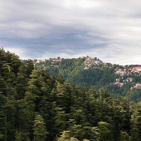 Neha Homestay Shimla Luaran gambar