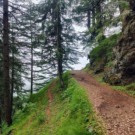 Neha Homestay Shimla Luaran gambar