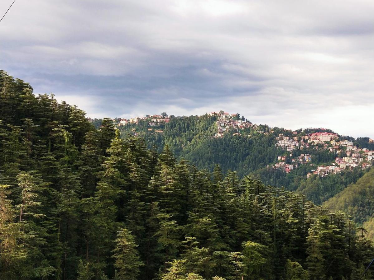 Neha Homestay Shimla Luaran gambar