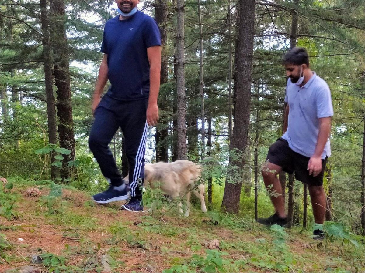 Neha Homestay Shimla Luaran gambar