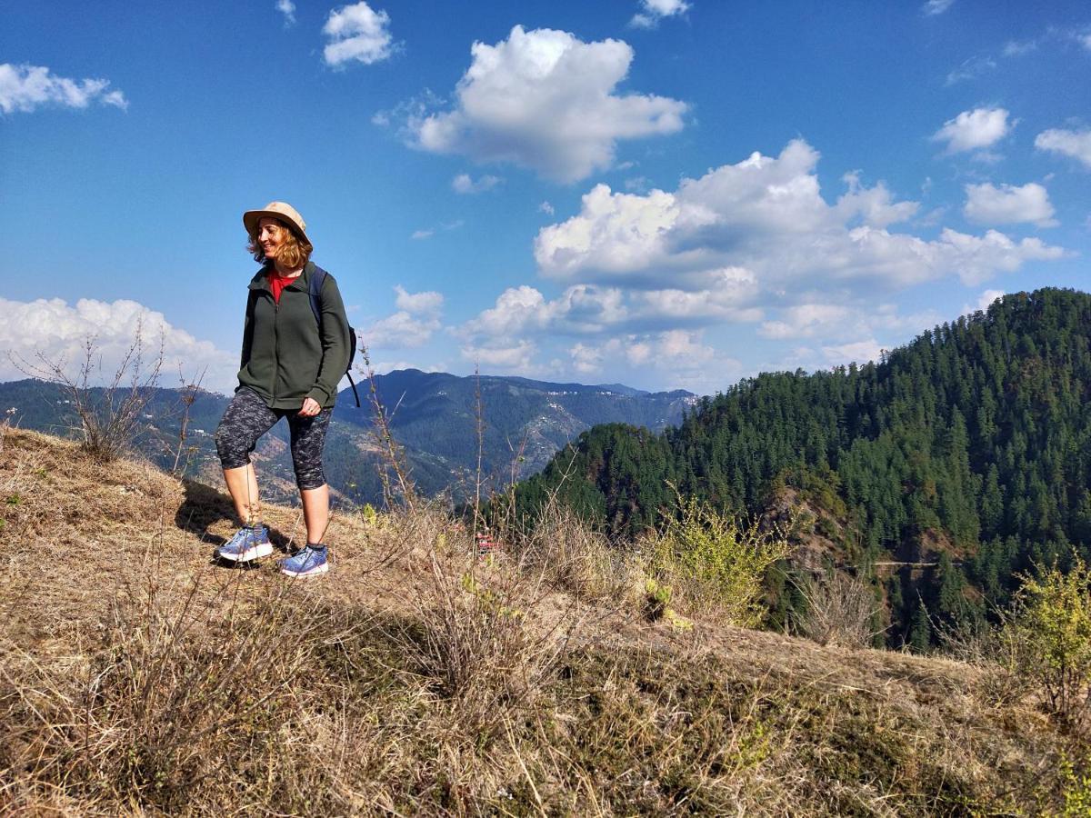 Neha Homestay Shimla Luaran gambar