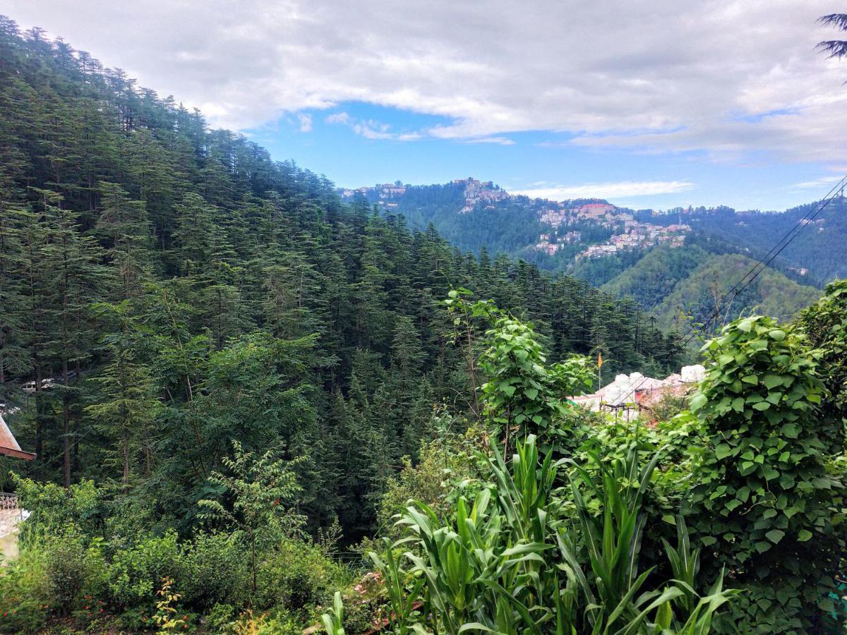 Neha Homestay Shimla Luaran gambar