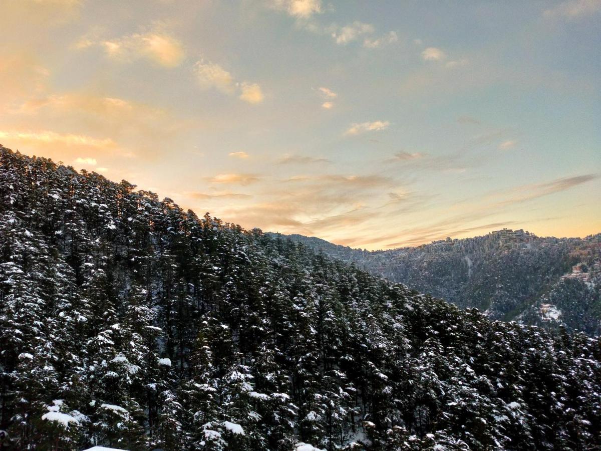 Neha Homestay Shimla Luaran gambar