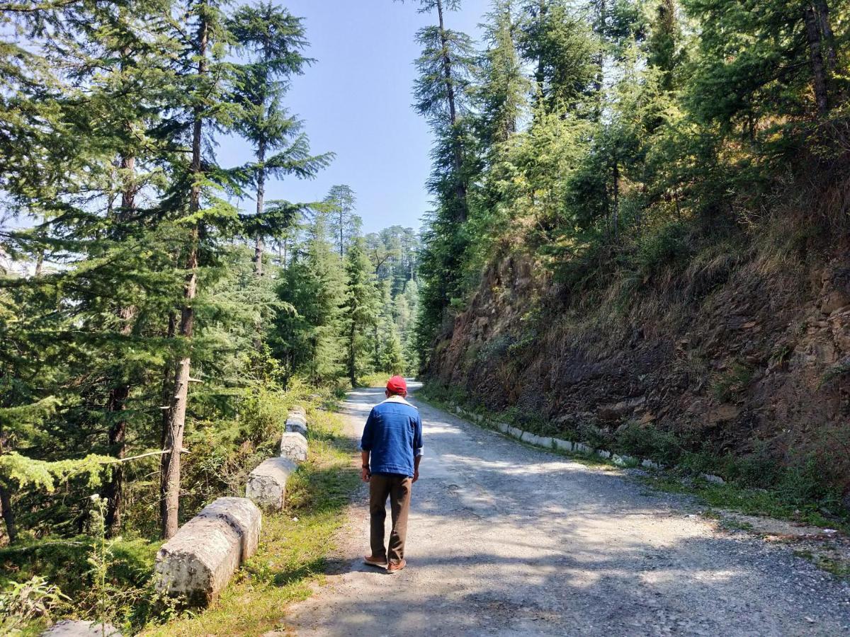 Neha Homestay Shimla Luaran gambar