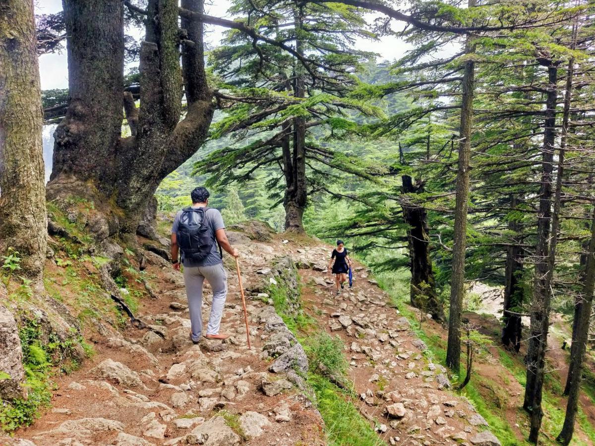 Neha Homestay Shimla Luaran gambar