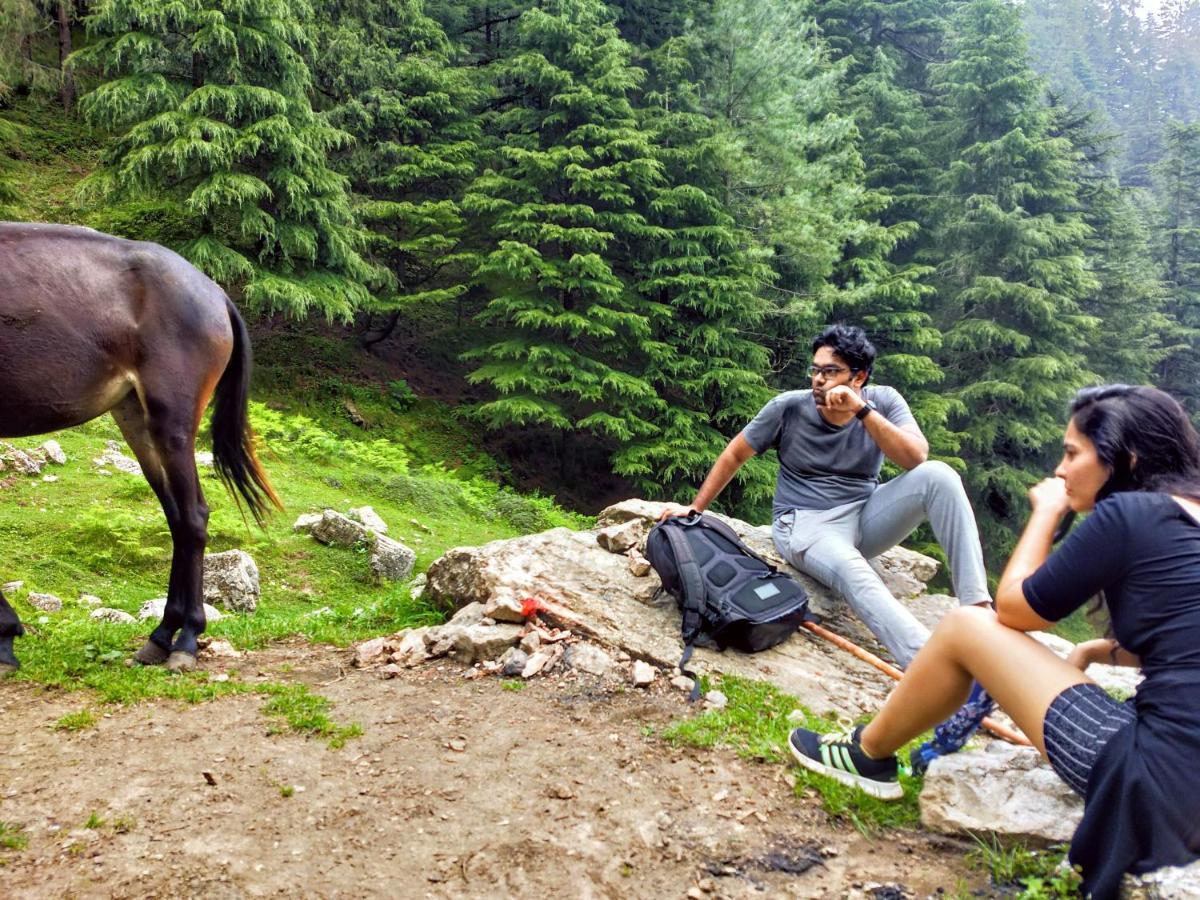 Neha Homestay Shimla Luaran gambar