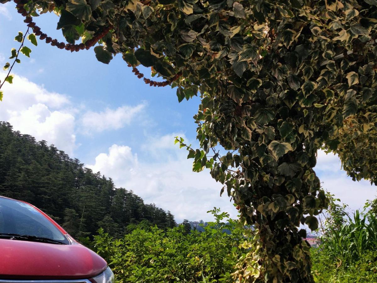Neha Homestay Shimla Luaran gambar