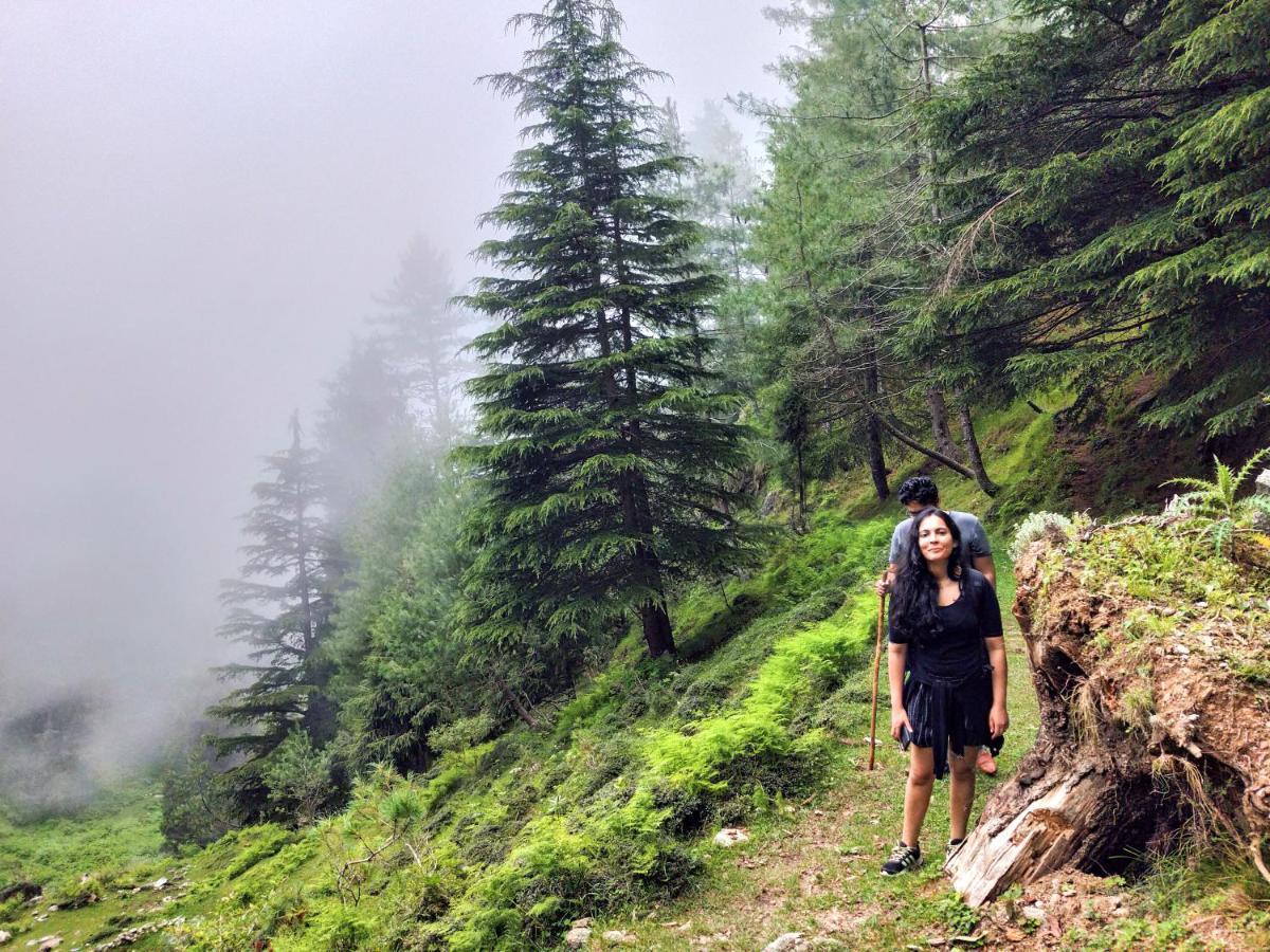 Neha Homestay Shimla Luaran gambar