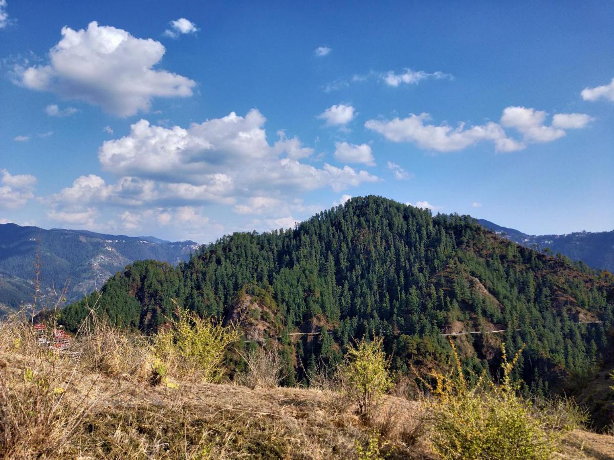 Neha Homestay Shimla Luaran gambar