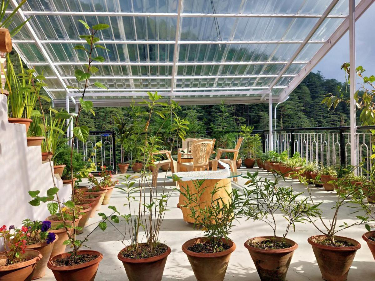 Neha Homestay Shimla Luaran gambar