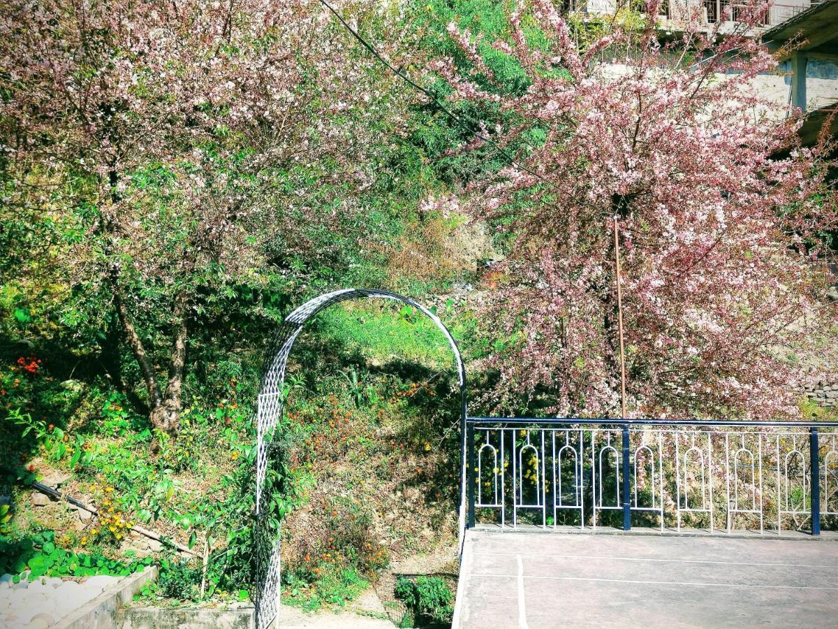 Neha Homestay Shimla Luaran gambar