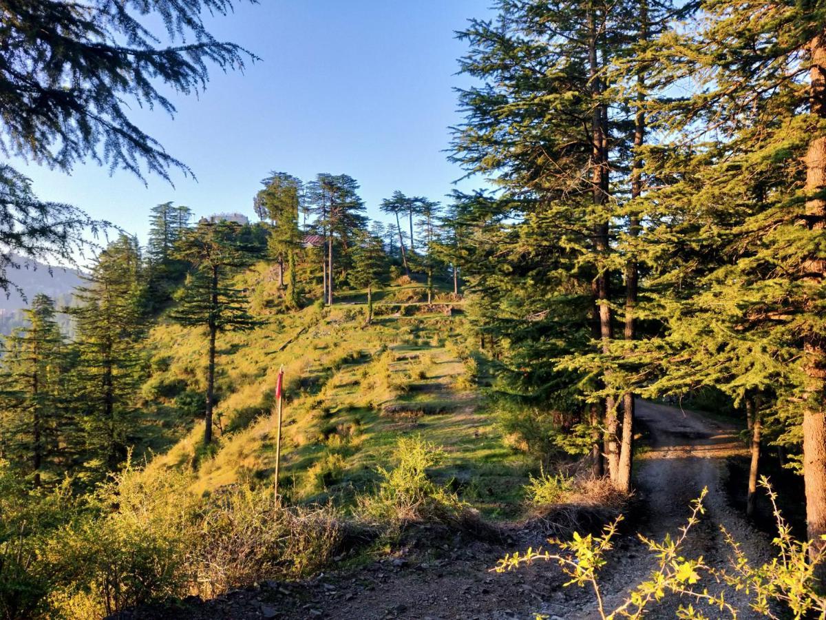 Neha Homestay Shimla Luaran gambar