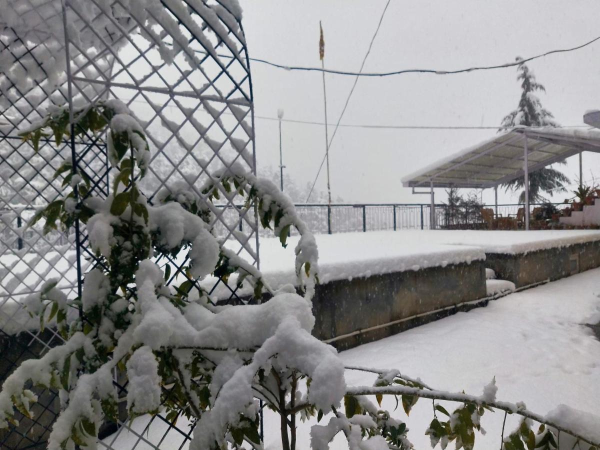 Neha Homestay Shimla Luaran gambar