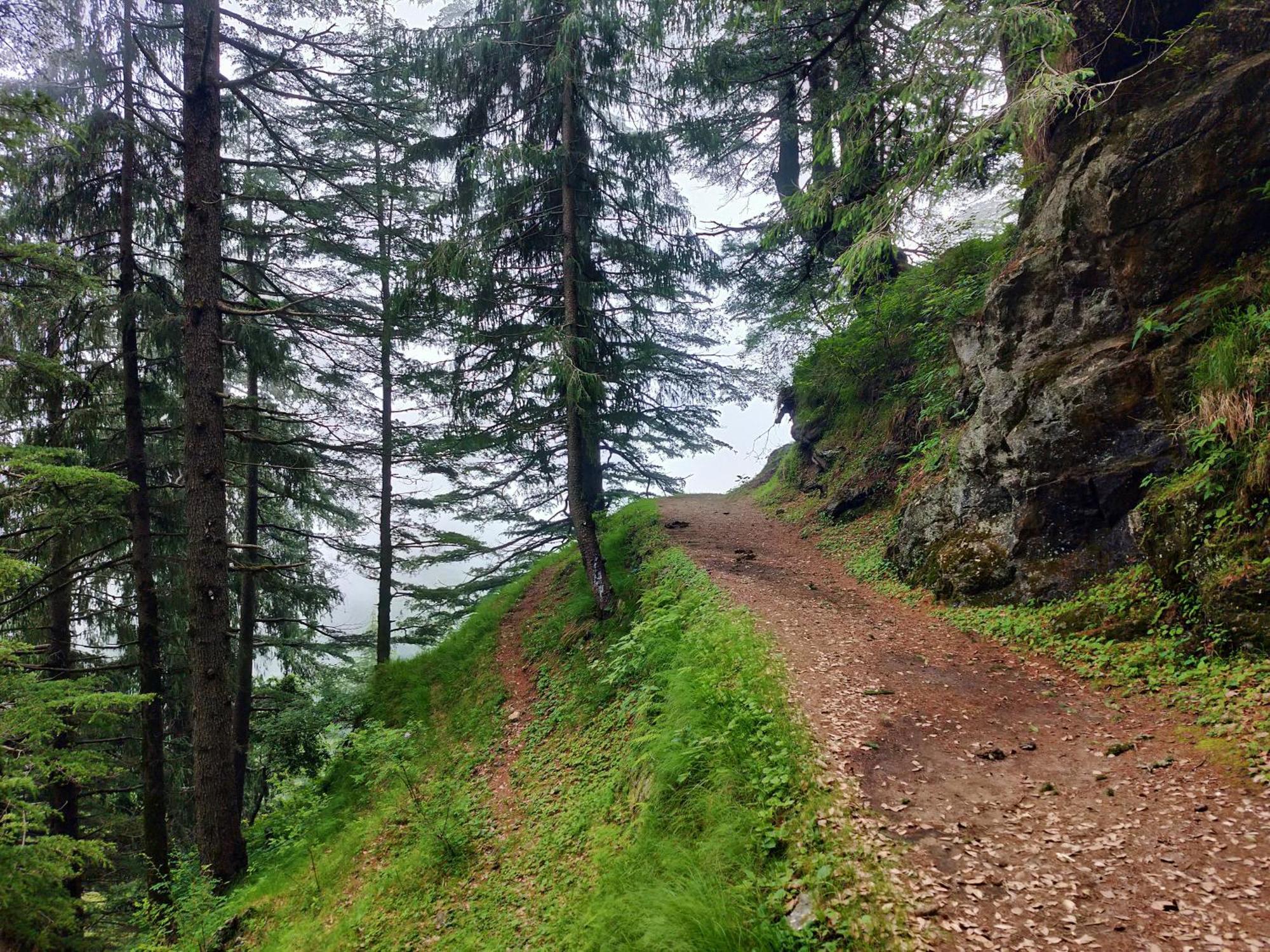 Neha Homestay Shimla Luaran gambar