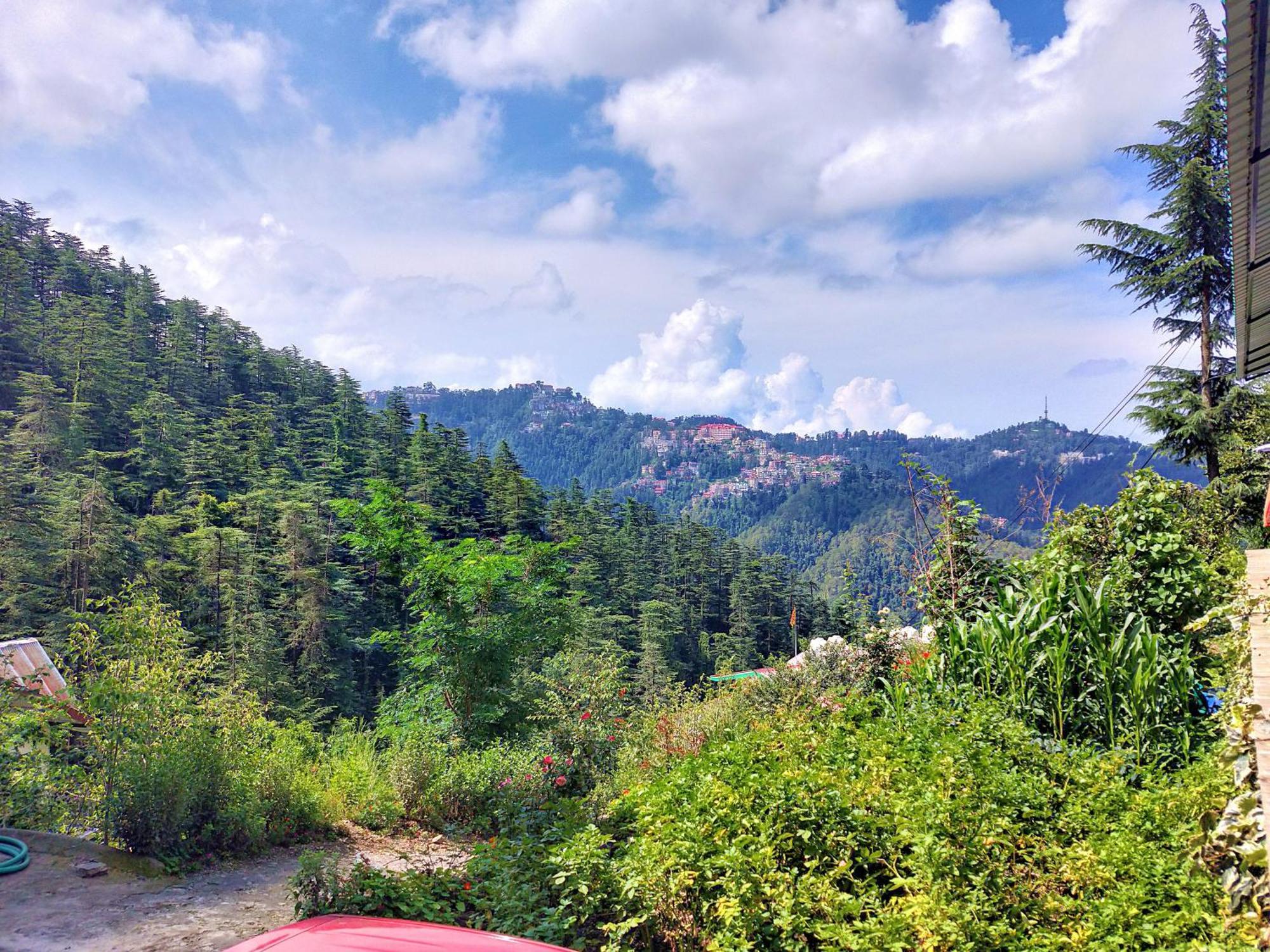 Neha Homestay Shimla Luaran gambar