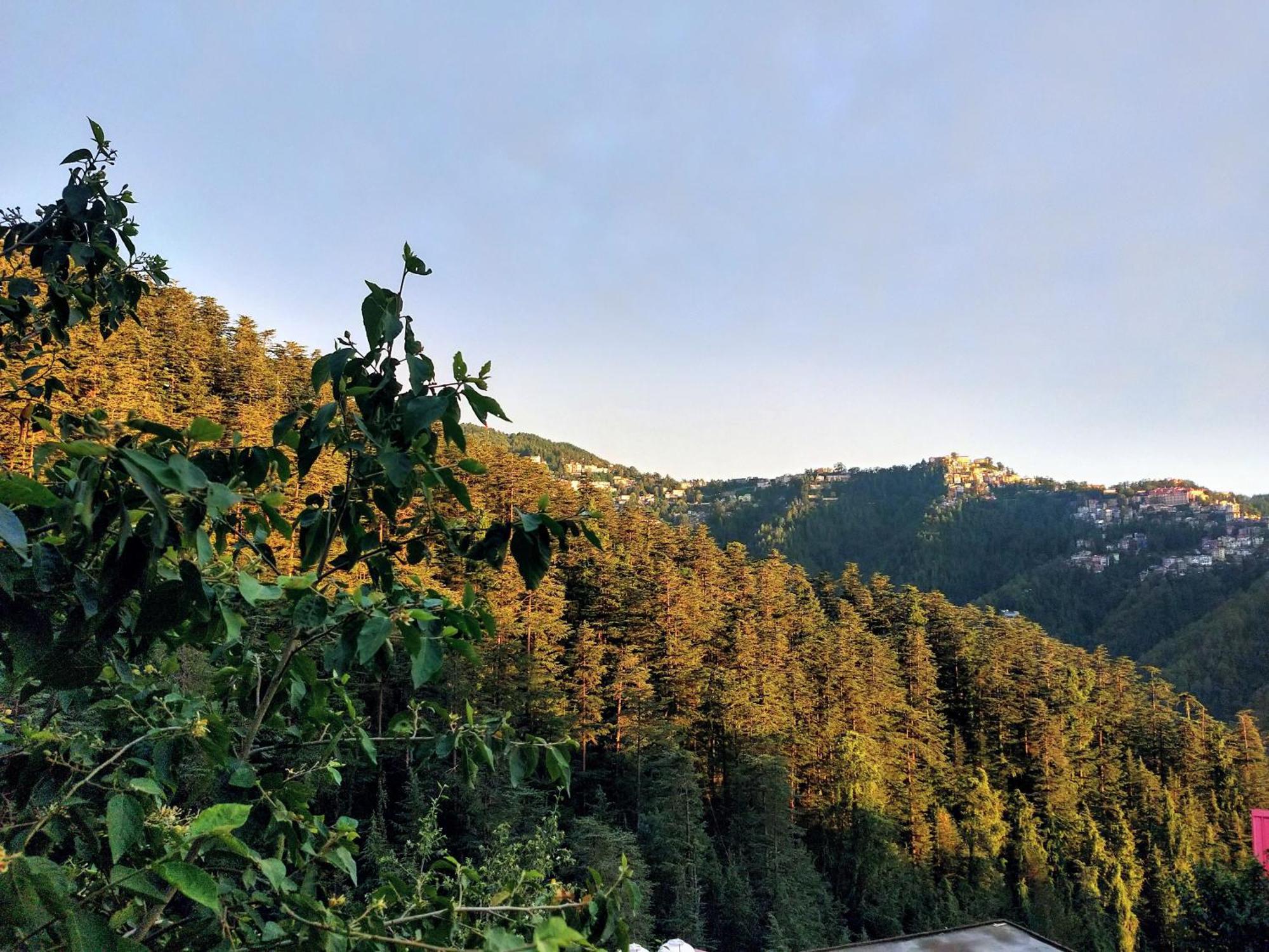 Neha Homestay Shimla Luaran gambar